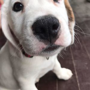 Meet your Posher, Jay